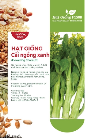 Hạt giống Cải ngồng xanh - Cải ngọt ăn bông