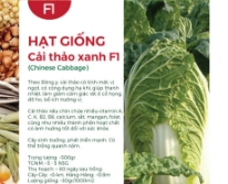 Hạt giống Cải thảo xanh F1 544AQ