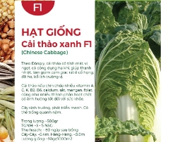 Hạt giống Cải thảo xanh F1 544AQ