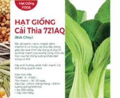 Hạt giống Cải thìa 721AQ