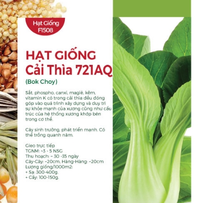 Hạt giống Cải thìa 721AQ