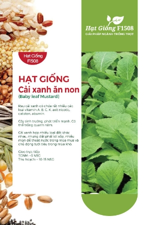 Hạt giống Cải xanh ăn non