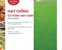 Hạt giống Cỏ thảm Bermuda - Gói 5gr