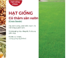 Hạt giống Cỏ thảm Bermuda - Gói 5gr