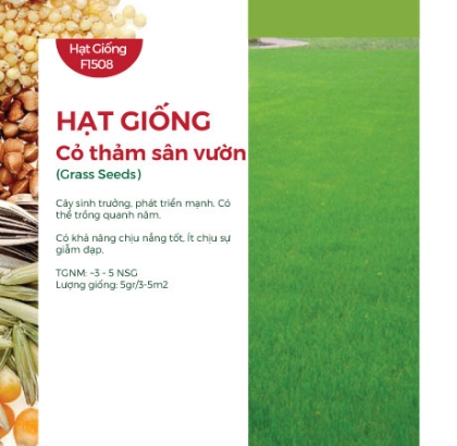 Hạt giống Cỏ thảm Bermuda - Gói 5gr