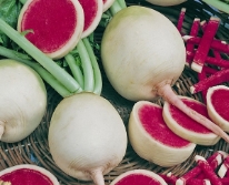 Hạt giống Củ cải ruột đỏ