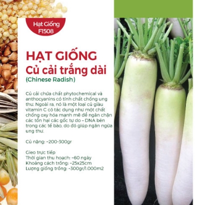 Hạt giống Củ cải trắng dài 