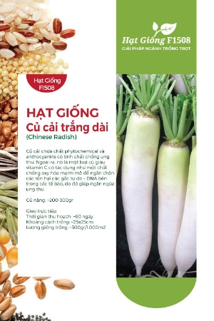 Hạt giống Củ cải trắng dài 