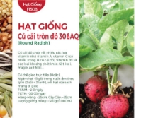 Hạt giống Củ cải tròn đỏ 306AQ