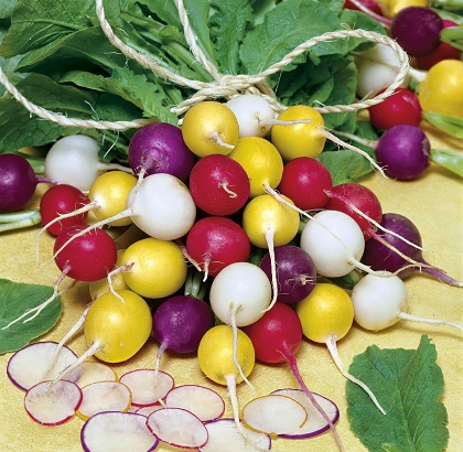 Hạt giống Củ cải tròn mix