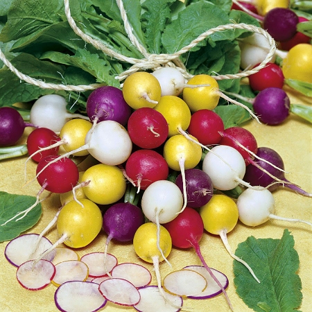 Hạt giống Củ cải tròn mix