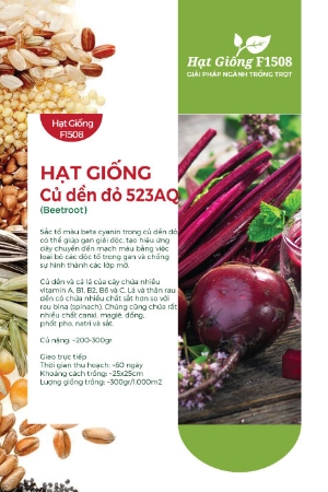 Hạt giống Củ dền đỏ 523AQ