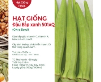 Hạt giống Đậu bắp xanh 501AQ