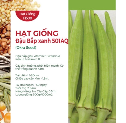 Hạt giống Đậu bắp xanh 501AQ