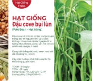 Hạt giống Đậu cove hạt trắng dạng bụi