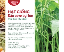 Hạt giống Đậu cove hạt trắng dạng bụi