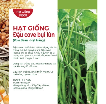 Hạt giống Đậu cove hạt trắng dạng bụi