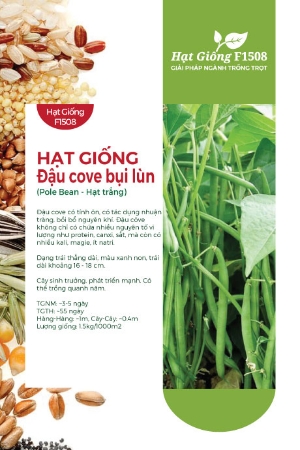 Hạt giống Đậu cove hạt trắng dạng bụi