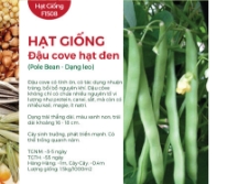 Hạt giống Đậu cove hạt đen dạng leo