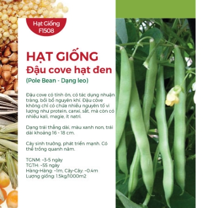 Hạt giống Đậu cove hạt đen dạng leo