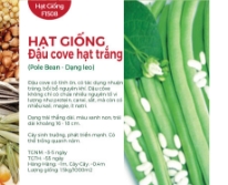 Hạt giống Đậu cove hạt trắng dạng leo