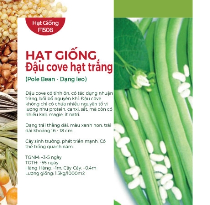 Hạt giống Đậu cove hạt trắng dạng leo