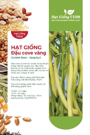 Hạt giống Đậu cove vàng dạng bụi