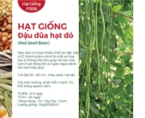 Hạt giống Đậu đũa hạt đỏ 481AQ