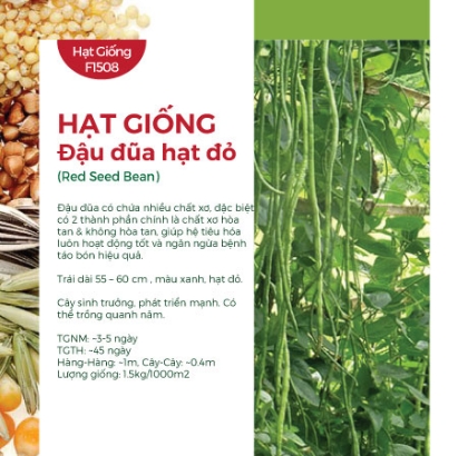 Hạt giống Đậu đũa hạt đỏ 481AQ