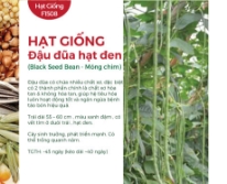 Hạt giống Đậu đũa hạt đen - Móng chim