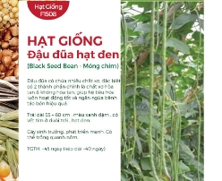 Hạt giống Đậu đũa hạt đen - Móng chim
