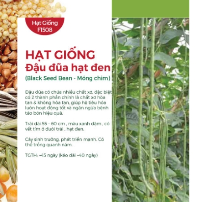 Hạt giống Đậu đũa hạt đen - Móng chim
