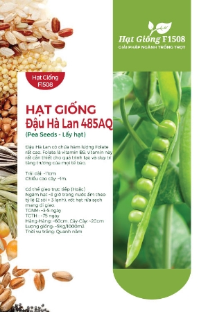 Hạt giống Đậu Hà Lan 485AQ