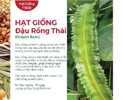 Hạt giống Đậu Rồng Thái