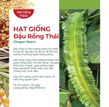 Hạt giống Đậu Rồng Thái