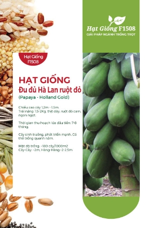 Hạt giống Đu đủ Hà Lan ruột đỏ