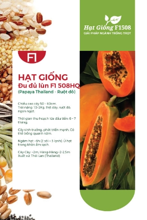 Hạt giống Đu đủ lùn F1 508HQ