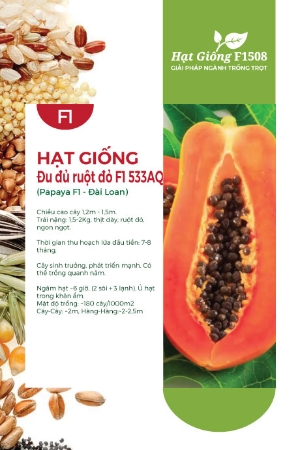 Hạt giống Đu đủ ruột đỏ Đài Loan F1 533AQ