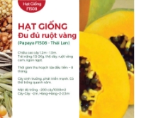 Hạt giống Đu đủ ruột vàng F1 Casa