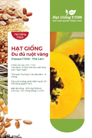Hạt giống Đu đủ ruột vàng F1 Casa