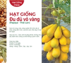 Hạt giống Đu đủ vỏ vàng F1 Thái Lan
