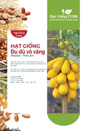 Hạt giống Đu đủ vỏ vàng F1 Thái Lan