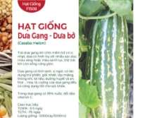 Hạt giống Dưa Gang