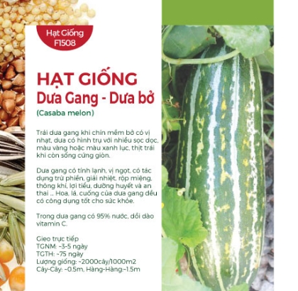 Hạt giống Dưa Gang