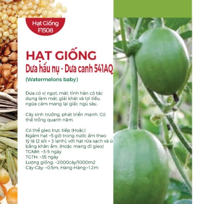 Hạt giống Dưa hấu nụ - Dưa canh 541AQ