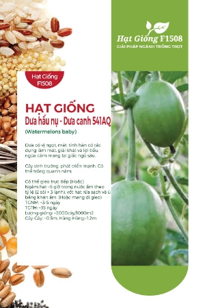 Hạt giống Dưa hấu nụ - Dưa canh 541AQ