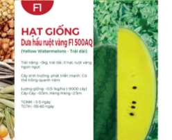 Hạt giống Dưa hấu ruột vàng F1 500AQ