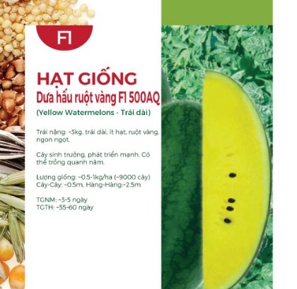 Hạt giống Dưa hấu ruột vàng F1 500AQ