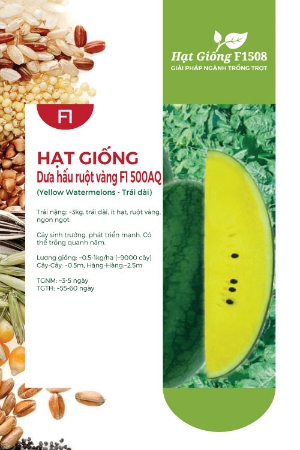 Hạt giống Dưa hấu ruột vàng F1 500AQ