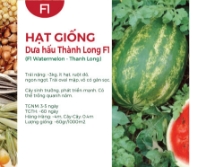 Hạt giống Dưa hấu Thành Long F1